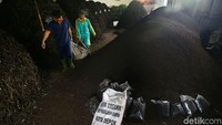 Begini tumpukan sampah yang telah diolah menjadi pupuk organik di Unit Pengolahan Sampah (UPS) 2 Sukmajaya Depok, Jawa Barat, Jumat (8/3/2019).