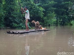 Banjir Ngawi Meluas, Rendam 2.529 Rumah di 18 Desa