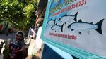 Geliat Usaha Ikan Asin di Pulau Pramuka
