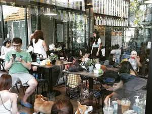 Di Kafe Ini Bisa Makan Sambil Bermain dengan 12 Ekor Anjing Corgis