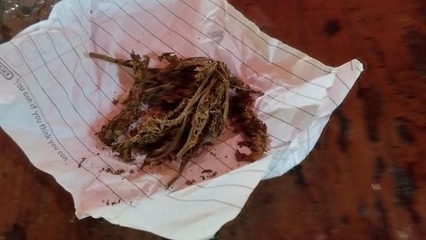Ganja yang disita dari pemotor.