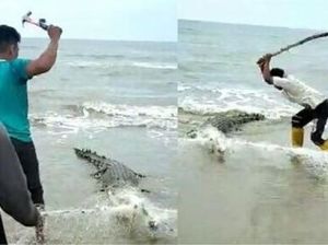 Malaysia Selidiki Aksi Brutal Sekelompok Pria Pukuli Buaya dengan Palu