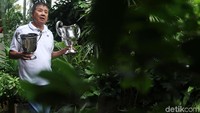 Tujuh gelar diciptakan secara beruntun oleh Rudy pada 1968-1974.
