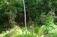 (Wahyu/detikTravel)