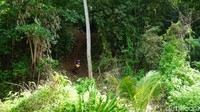 Jalur offroadnya berupa tanjakan menuju ke puncak bukit dengan kemiringan mencapai 60 derajat. Ada yang berhasil, ada pula yang jatuh di tengah jalan. Seru banget! (Wahyu/detikTravel)