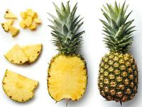Begini Nih Cara Makan Buah Nanas yang Benar dan Praktis