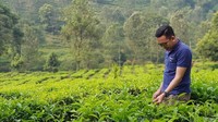 Menikmati udara segar di tengah kebun teh jadi salah satu kegiatan untuk menenangkan pikiran. Wah hamparan kebun teh bikin rileks ya. Foto: instagram @ari.zld06