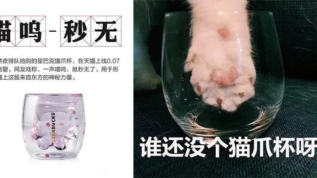Tren Cup Starbucks Bentuk Tapak Kucing, Netizen Masukkan Kaki Kucing ke  Gelas
