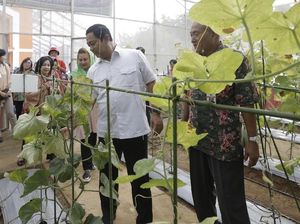 Tingkatkan Nilai Jual, Hendi Dorong Kreativitas Olahan Pertanian