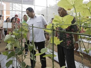 Tingkatkan Nilai Jual, Hendi Dorong Kreativitas Olahan Pertanian