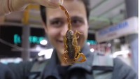 Kuliner Meksiko yang menarik bagi Mark adalah seekor kalajengking. Hii ia berani makan nggak ya? Foto: instagram @migrationology
