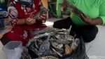 Geliat Usaha Ikan Asin di Pulau Pramuka