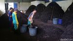 Keren! Disini Sampah Organik Diolah Jadi Pupuk Lho
