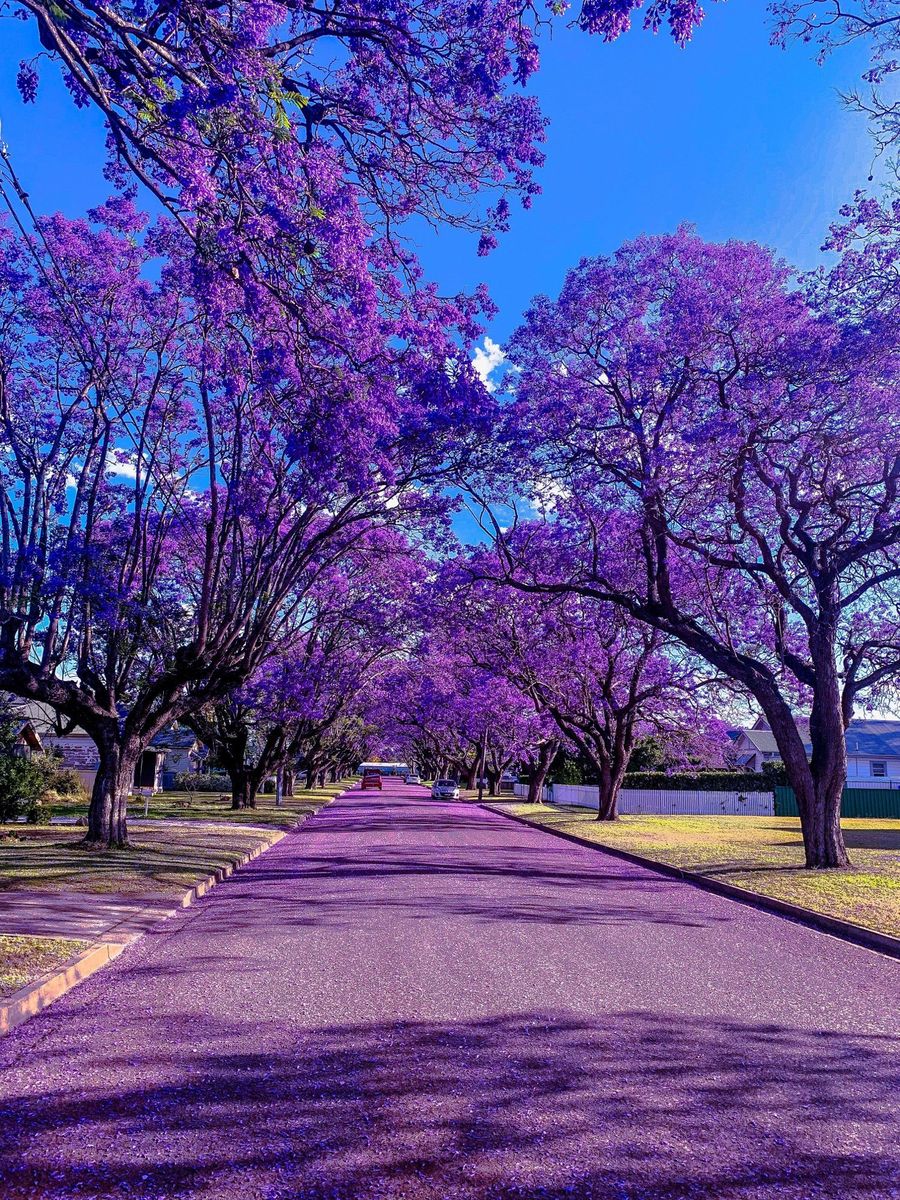 Foto 5 Tempat Paling Instagrammable Se Australia Foto 4