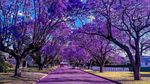 Foto: 5 Tempat Paling Instagrammable Se-Australia