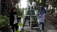 Oh iya, di RPTRA Pulau Pramuka ini juga dilengkpai dengan taman tanaman hidroponik lho. Lumayan kan bisa untuk mempelajarinya juga.