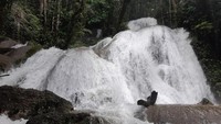 Air terjun ini sungguh mempesona. Airnya begitu jernih dan segar. Udara di sekitar air terjun masih sangat bersih karena di kelilingi hutan. (Bonauli/detikTravel)
