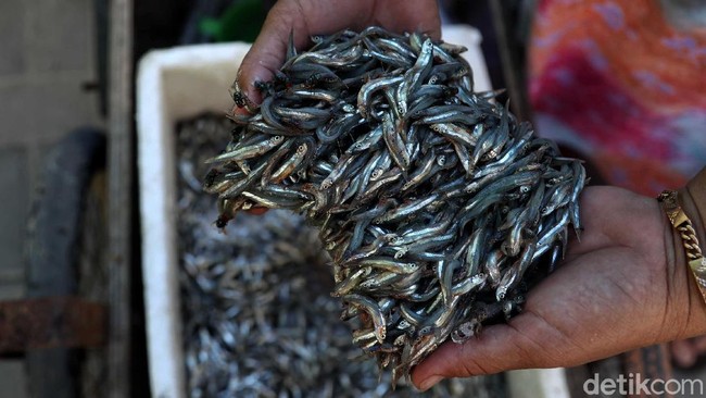 Susi Disindir Soal Impor Ikan Asin, Ini Fakta dari BPS