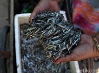 Susi Disindir Soal Impor Ikan Asin, Ini Fakta dari BPS