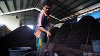 Petugas memindahkan pupuk ke ember.