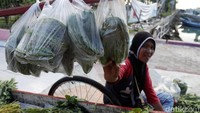 Menurut pedagang, harga sayuran dan buah di Pulau Seribu khususnya Pulau Pramuka cenderung lebih mahal dibandingkan di Jakarta. Hal itu dikarenakan adanya ongkos transportasi dari Jakarta menuju Pulau Seribu.