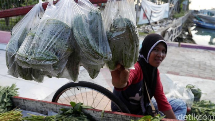 Sejumlah pedagang buah sayur memasarkan dagangannya di depan dermaga Pulau Pramuka. Seperti apa kisah mereka?