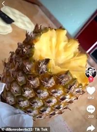 Begini Nih Cara Makan Buah Nanas yang Benar dan Praktis