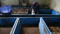Di kota-kota besar maupun di pedesaan di seluruh Indonesia, sampah kerap menjadi masalah. Dari sinilah, timbul pemikiran bagaimana cara menghasilkan uang dari sampah menjadi sesuatu yang bermanfaat.
