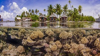 Up & Coming Underwater Photographer of The Year 2019 diriah Taeyup Kim - Korea Selatan.  Foto: Underwater Photographer of The Year