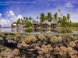 Karya Memukau Jawara Underwater Photographer of The Year 2019