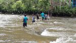 Foto: Eksotisme Air Terjun Perawan di Papua