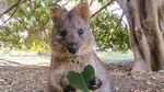 Foto: 5 Tempat Paling Instagrammable Se-Australia