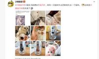 Tren Cup Starbucks Bentuk Tapak Kucing, Netizen Masukkan Kaki Kucing ke  Gelas