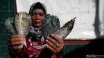 Geliat Usaha Ikan Asin di Pulau Pramuka
