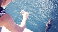 Namun dia sering kali tidak menandai lokasi liburannya dalam Instagramnya. (brielarson/Instagram)