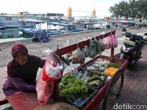 Memetik Rezeki Lewat Buah dan Sayur di Pulau Pramuka