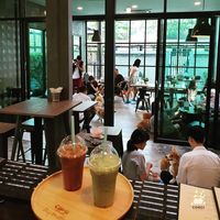 Di Kafe Ini Bisa Makan Sambil Bermain Dengan 12 Ekor Anjing Corgis