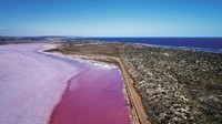 Danau Hut Lagoon adalah danau ajaib yang dijuluki Pink Lake dan memiliki air asin. Hutt Lagoon memiliki laguna berair merah muda atau pink (Tourism Western Australia)