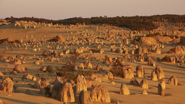 The Pinnacles adalah tonggak bebatuan yang terbentuk 5 juta tahun lalu dan sangat epik saat difoto. Lokasinya di Taman Nasional Nambung. (Tourism Western Australia)