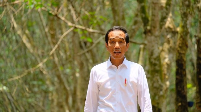 Jokowi Kesal Ekspor dan Investasi RI Loyo