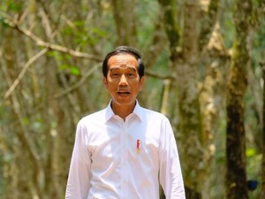 Jokowi Sindir Pemilik Lahan 5 Kali DKI, Menhub Minta Maaf KRL Terguling