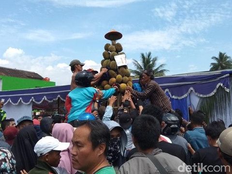 19 Gunungan Durian Meriahkan Festival Durian di Candimulyo
