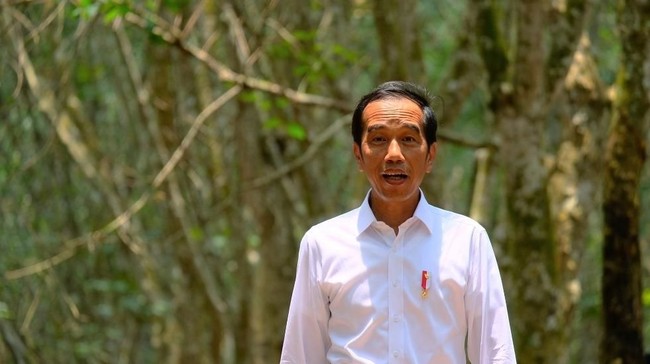 Saat Jokowi Sindir Pemilik Lahan 5 Kali Luas Jakarta