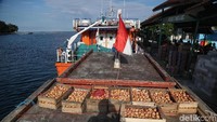 Barang yang dibeli terdiri dari mie instant, beras, telur, minyak air minum dan sebagainya.