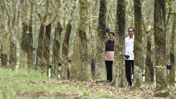 Romantisme 'Winter Sonata' ala Jokowi-Iriana di Kebun Karet