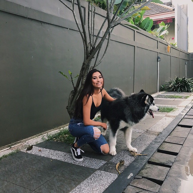 Frederika Alexis Cull sang Puteri Indonesia 2019 juga seorang pecinta hewan. Dia bekerjasama dengan tempat penampungan hewan di Jakarta untuk menyelamatkan dan melindungi hewan peliharaan yang terlantar. Ia berusaha untuk menghentikan penjualan daging anjing sebagai bahan konsumsi di area Jakarta, dengan melakukan persuasi di rumah makan untuk berhenti menjual daging anjing. Foto: Frederika Alexis Cull, Puteri Indonesia 2019