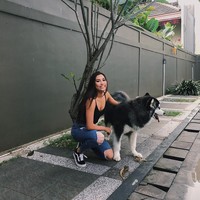 Frederika Alexis Cull sang Puteri Indonesia 2019 juga seorang pecinta hewan. Dia bekerjasama dengan tempat penampungan hewan di Jakarta untuk menyelamatkan dan melindungi hewan peliharaan yang terlantar. Ia berusaha untuk menghentikan penjualan daging anjing sebagai bahan konsumsi di area Jakarta, dengan melakukan persuasi di rumah makan untuk berhenti menjual daging anjing. Foto: Frederika Alexis Cull, Puteri Indonesia 2019