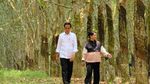 Momen Mesra Jokowi-Iriana Gandengan di Hutan Karet