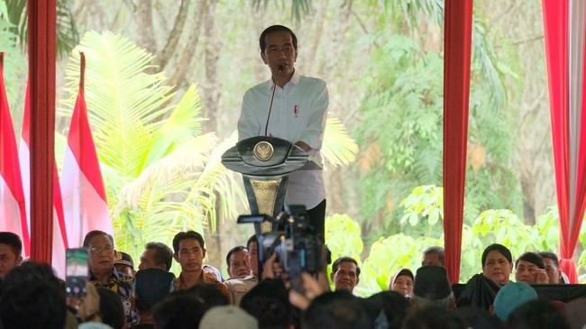 Foto: andhika/detikcom Foto: andhika/detikcom