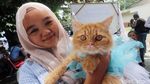 Bandi Pemenang Lomba Mirip Bobby, Kucing Milik Prabowo